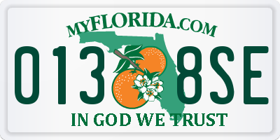 FL license plate 0138SE