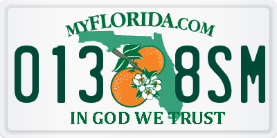 FL license plate 0138SM