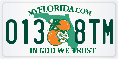 FL license plate 0138TM