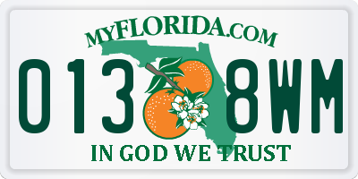 FL license plate 0138WM