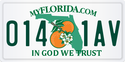 FL license plate 0141AV