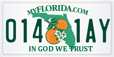 FL license plate 0141AY