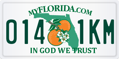 FL license plate 0141KM