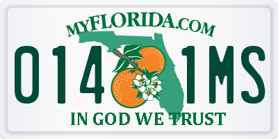 FL license plate 0141MS