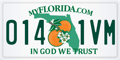FL license plate 0141VM