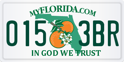 FL license plate 0153BR