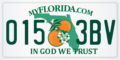 FL license plate 0153BV