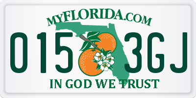 FL license plate 0153GJ