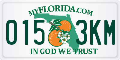 FL license plate 0153KM
