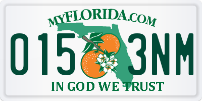 FL license plate 0153NM