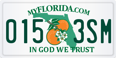 FL license plate 0153SM