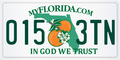FL license plate 0153TN