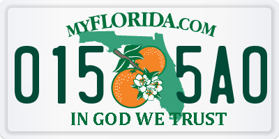 FL license plate 0155AO