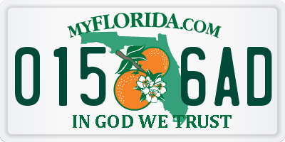 FL license plate 0156AD