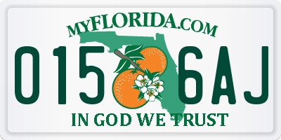 FL license plate 0156AJ