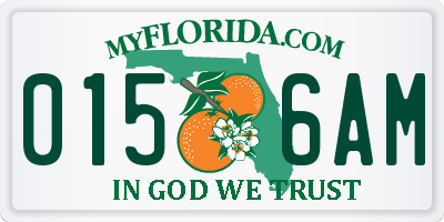 FL license plate 0156AM