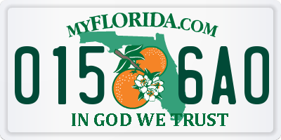 FL license plate 0156AO