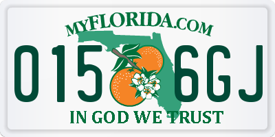 FL license plate 0156GJ
