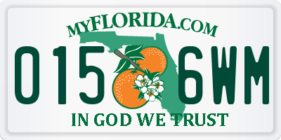 FL license plate 0156WM