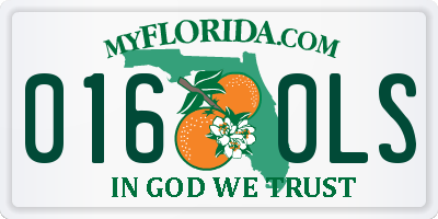 FL license plate 0160LS