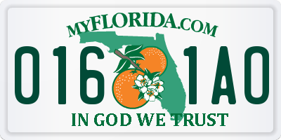 FL license plate 0161AO