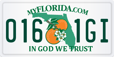 FL license plate 0161GI