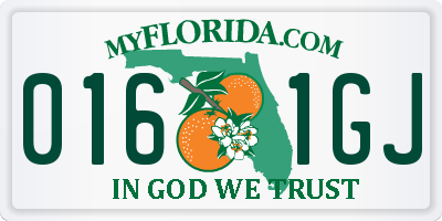 FL license plate 0161GJ