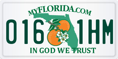 FL license plate 0161HM