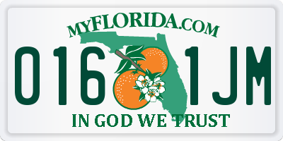 FL license plate 0161JM