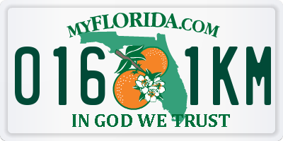 FL license plate 0161KM