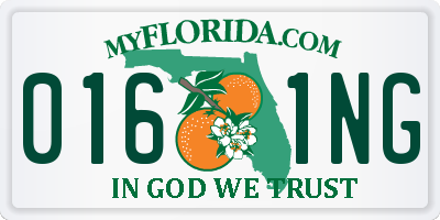 FL license plate 0161NG