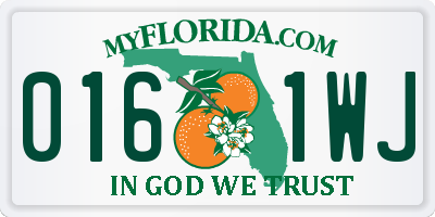 FL license plate 0161WJ