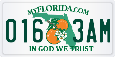 FL license plate 0163AM