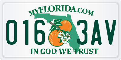 FL license plate 0163AV