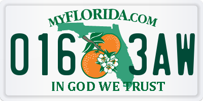FL license plate 0163AW