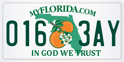 FL license plate 0163AY
