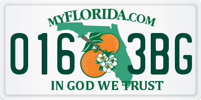FL license plate 0163BG