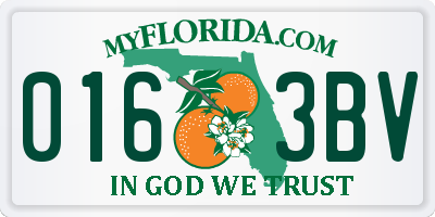 FL license plate 0163BV