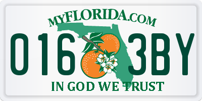 FL license plate 0163BY