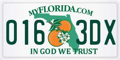 FL license plate 0163DX