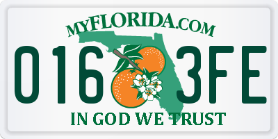 FL license plate 0163FE