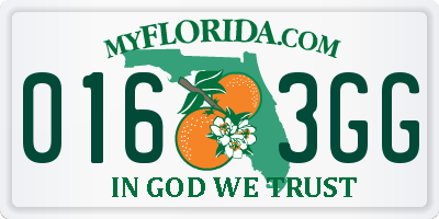 FL license plate 0163GG