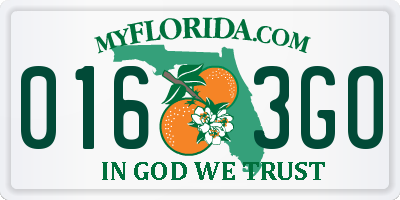 FL license plate 0163GO