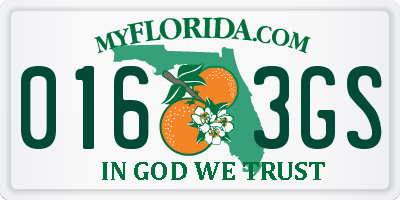 FL license plate 0163GS