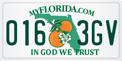 FL license plate 0163GV