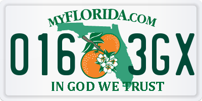 FL license plate 0163GX