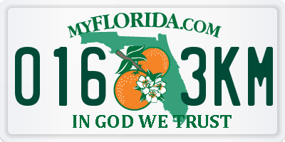 FL license plate 0163KM