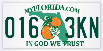 FL license plate 0163KN