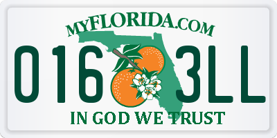 FL license plate 0163LL