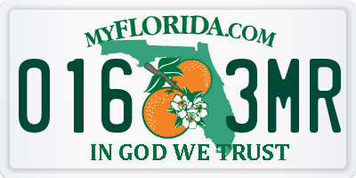 FL license plate 0163MR
